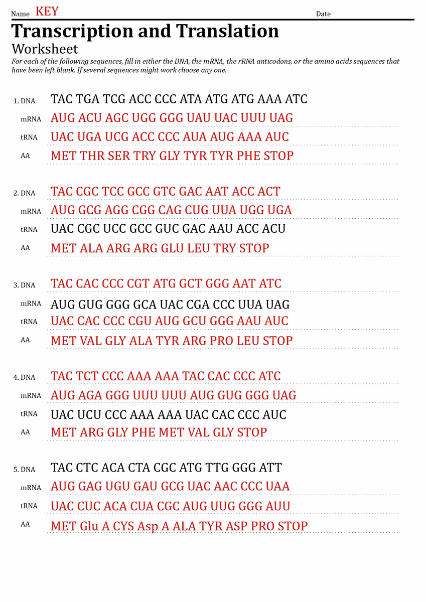 14 DNA Code Worksheet Free PDF At Worksheeto 14 DNA Code Worksheet Free PDF At Worksheeto