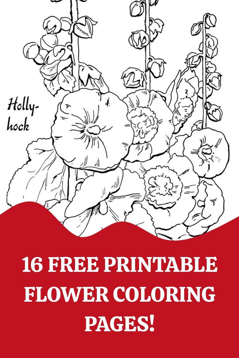 16 Flower Coloring Pages For Adults All Unique The Graphics Fairy