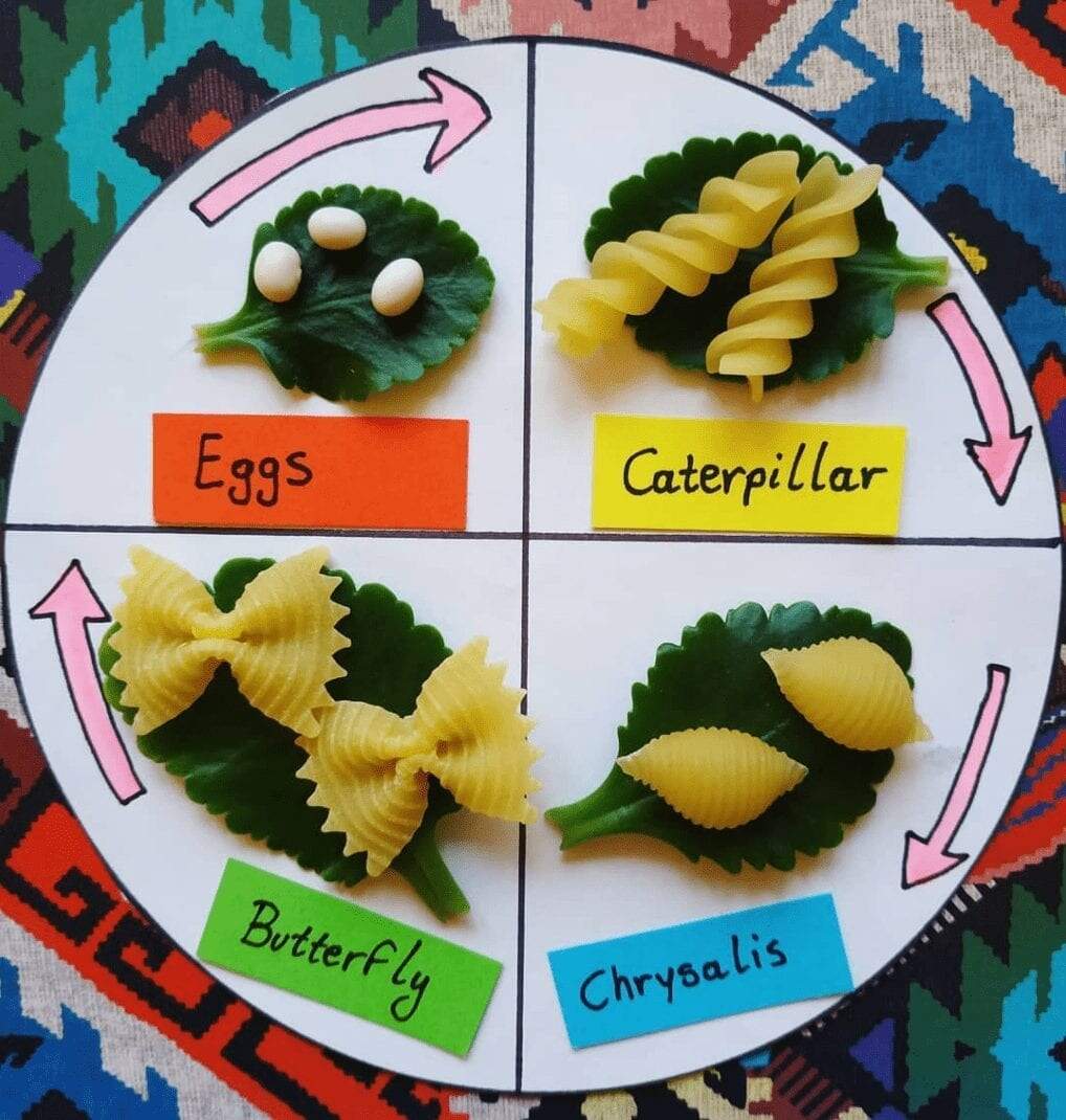 30 Amazing Learning Activities Using Pasta For Students Of All Ages