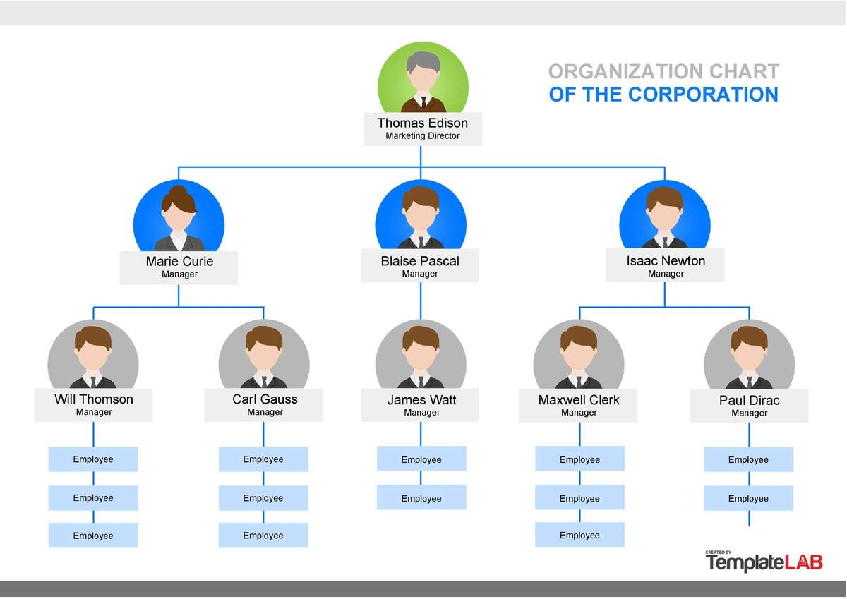 Free Custom Organization Chart Templates Canva