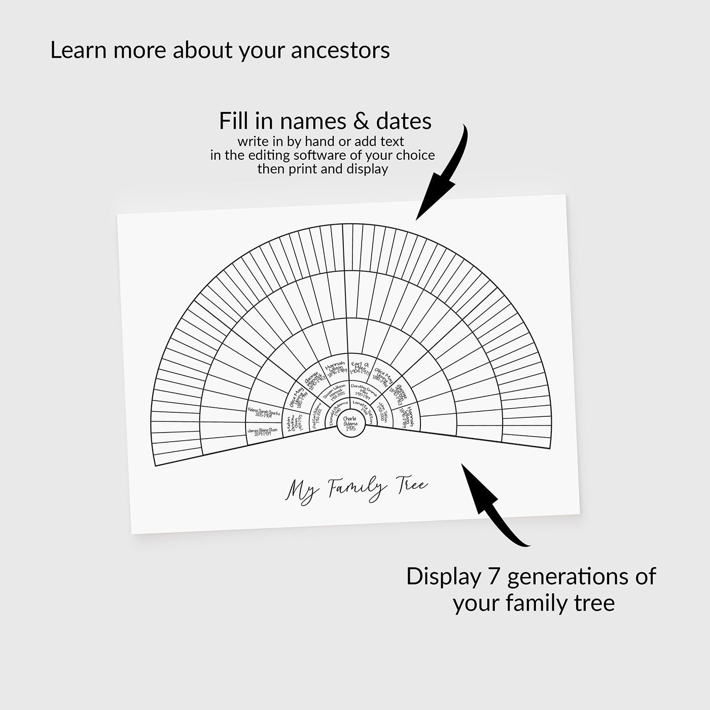 Ancestor Fan Chart Examples