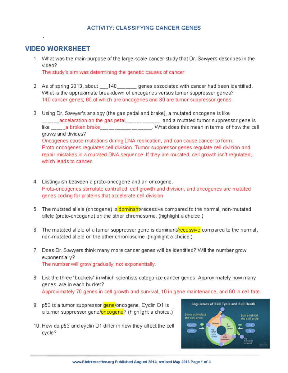 Activity 1 Classifying Cancer Genes Student Worksheet Studocu Amcmaster HHMI Video On Rock Pocket Mouse Intro Key Questions Studocu