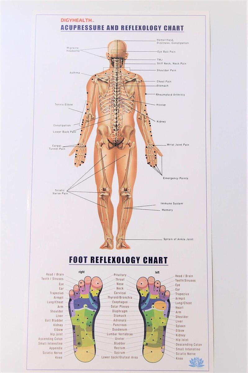 Acupressure And Reflex Zone Poster Amazon De Health Personal Care