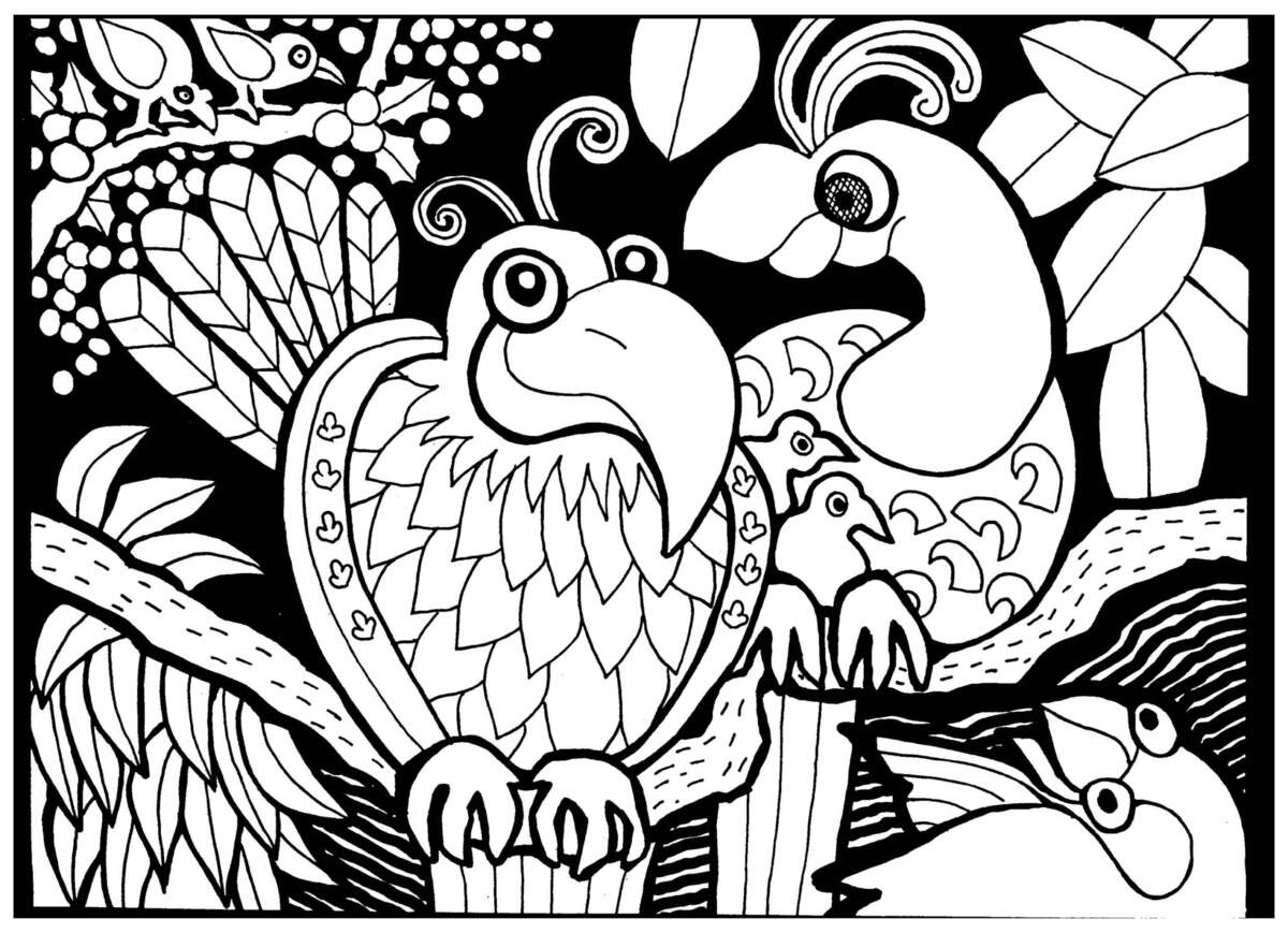 Africa Birds Africa Coloring Pages For Adults Africa Birds Africa Coloring Pages For Adults