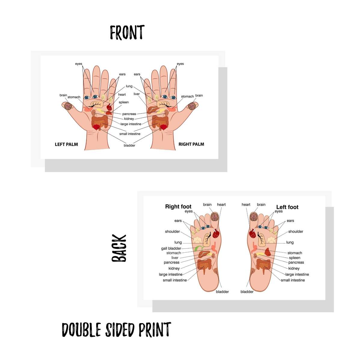 Amazon Lashicorn Reflexology Chart For Hand And Foot 50 Pack 2 X 3 5 Inches Business Sized Card Reflexology Massage Acupressure Body Treatment Health Household Amazon Lashicorn Reflexology Chart For Hand And Foot 50 Pack 2 X 3 5 Inches Business Sized Card Reflexology Massage Acupressure Body Treatment Health Household