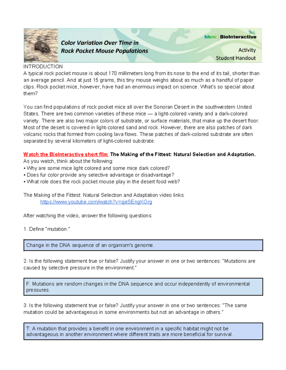Amcmaster HHMI Video On Rock Pocket Mouse Intro Key Questions Studocu Amcmaster HHMI Video On Rock Pocket Mouse Intro Key Questions Studocu