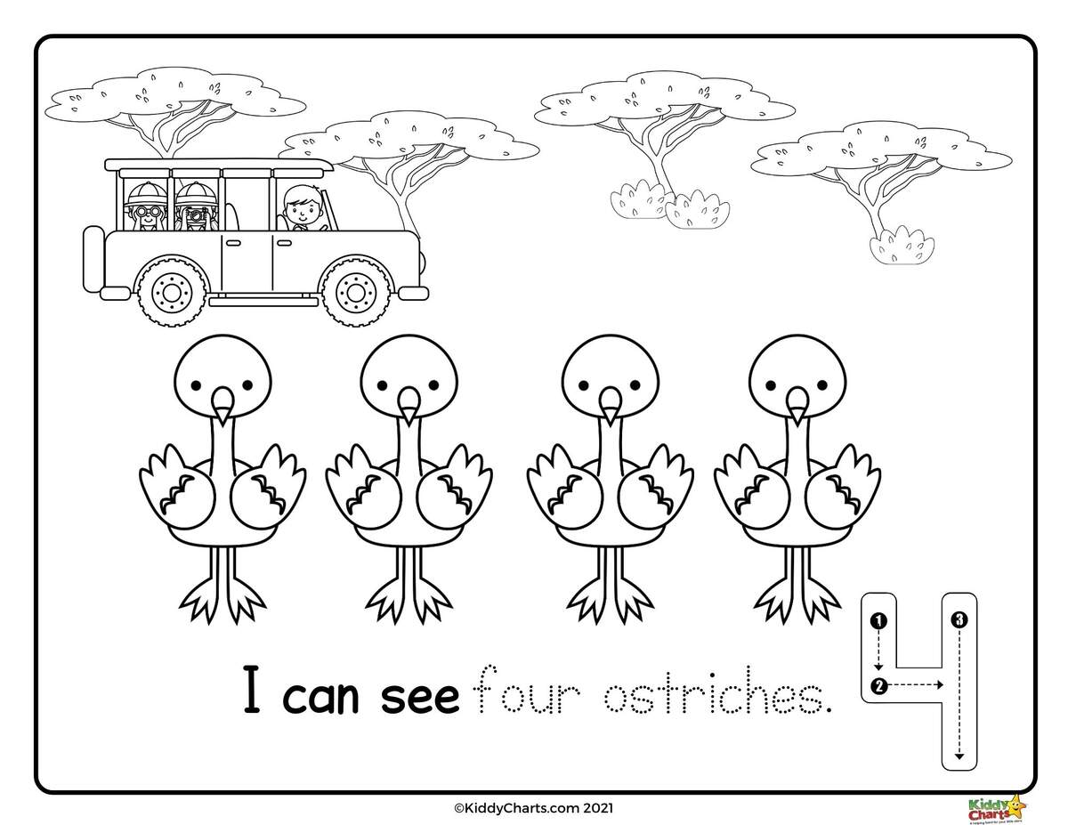 Animals Color By Number Coloring Page Book Coloring Cow
