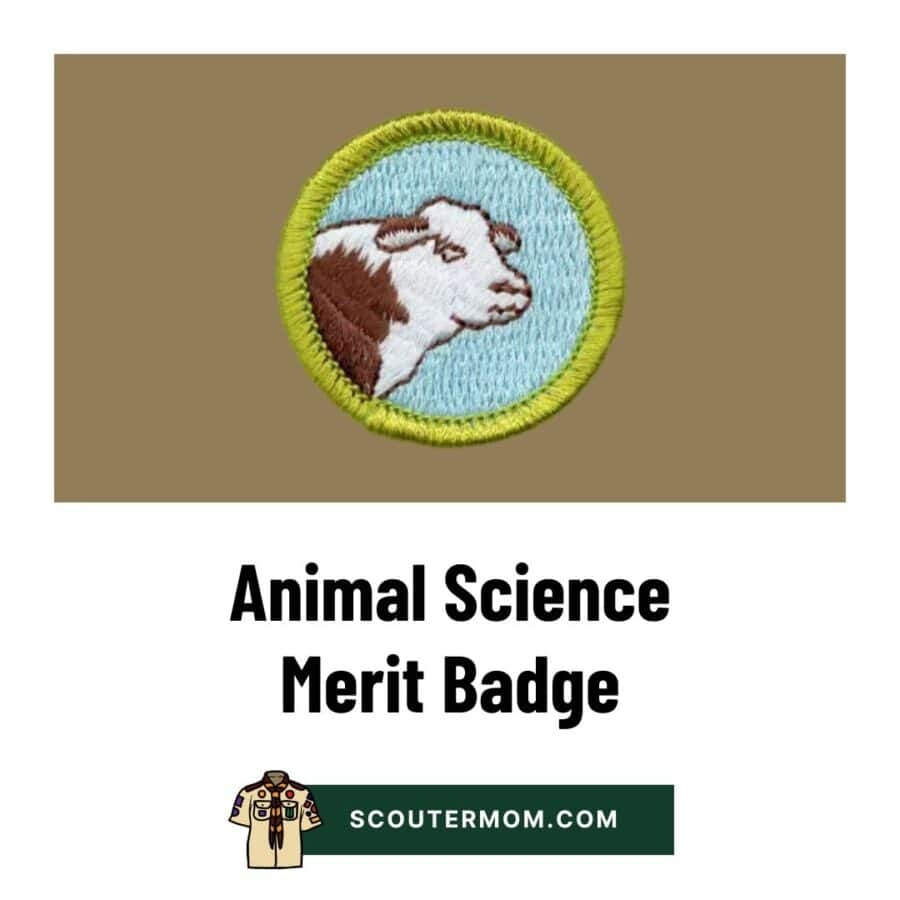 Animal Science Merit Badge For 2025 Free Resources And Answers Scouter Mom