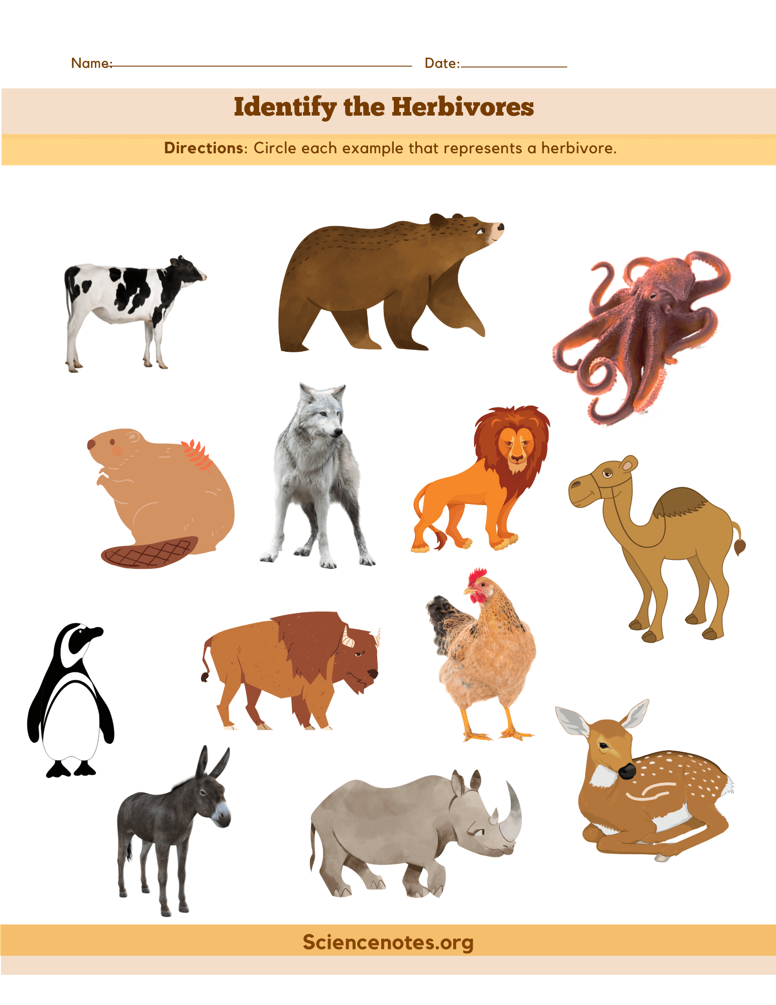 Animal Worksheets Animal Worksheets