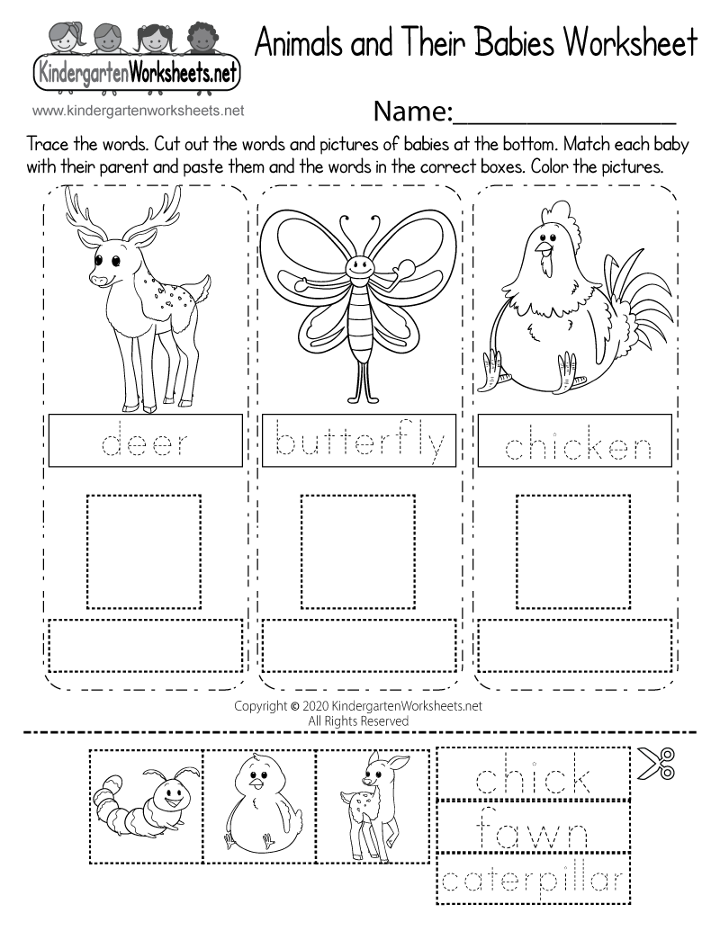 Animals And Their Babies Worksheet Free Printable Digital PDF Animal Worksheets