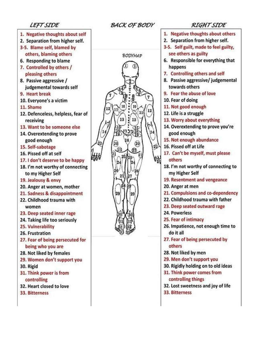 Back Of Body Reflexology Chart For Acupuncture And Massages Etsy Israel