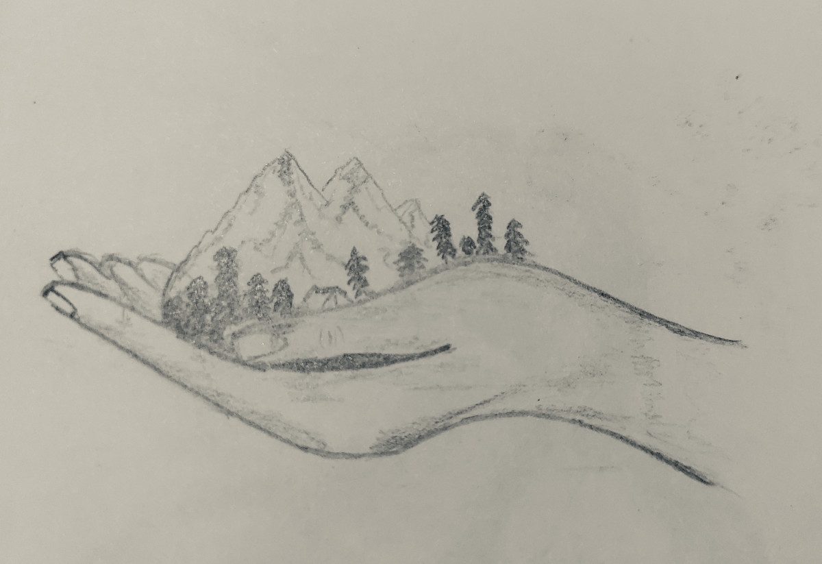 Pencil Drawing For Beginners