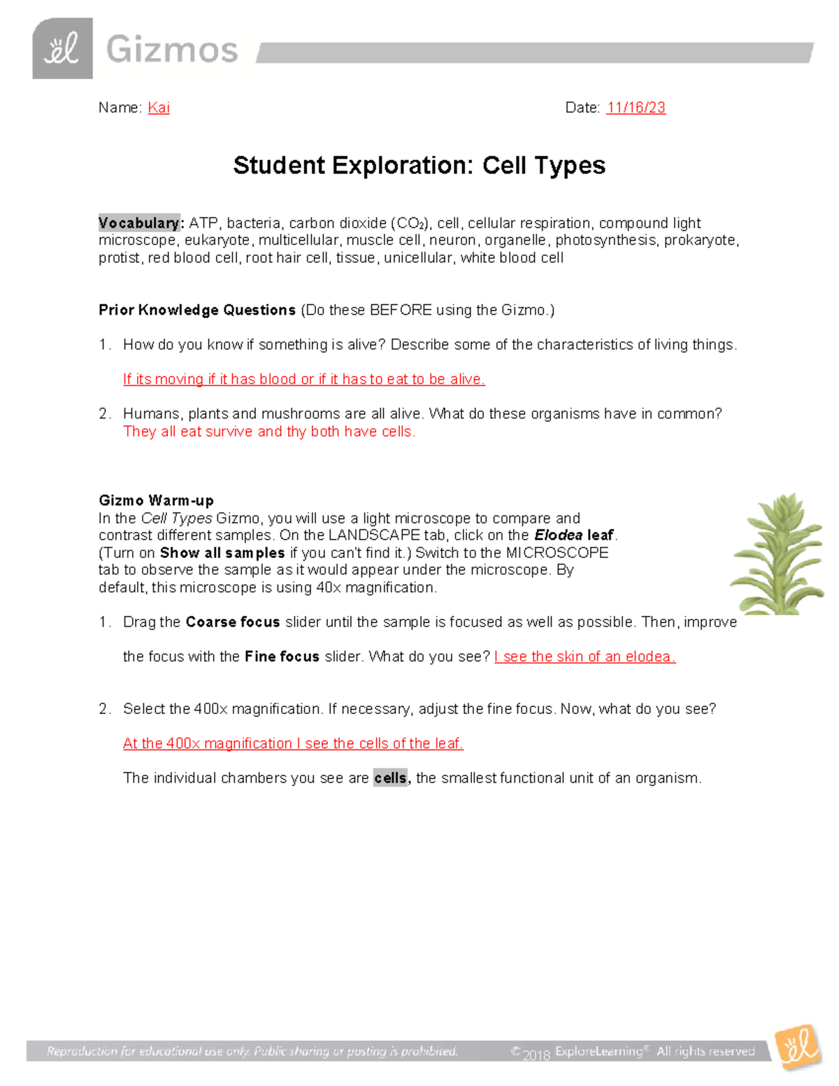 Bill Nye Earthquakes Comprehensive Answer Sheet For Students Studocu Bill Nye Earthquakes Comprehensive Answer Sheet For Students Studocu
