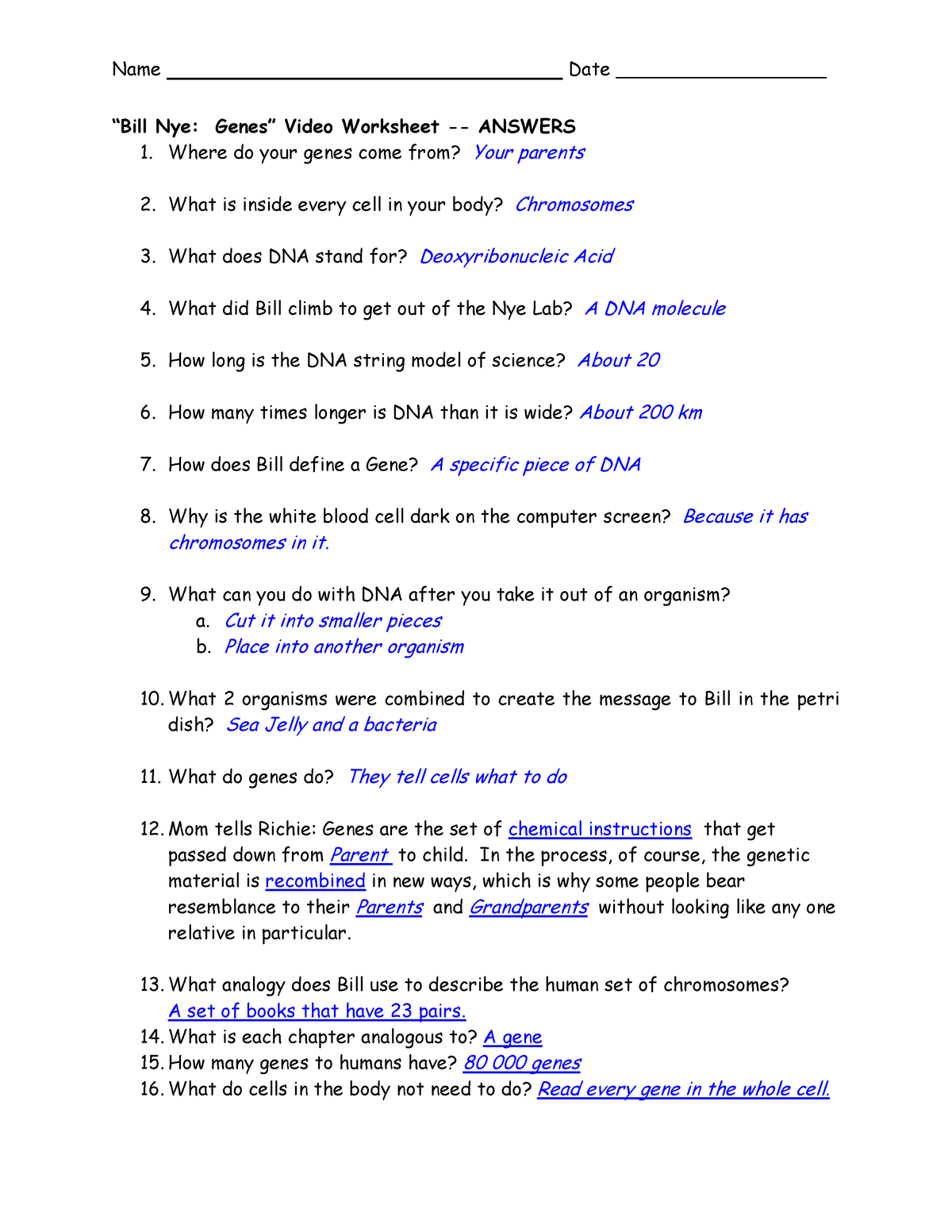 Bill Nye The Science Guy EVOLUTION Video Guide Worksheets Library