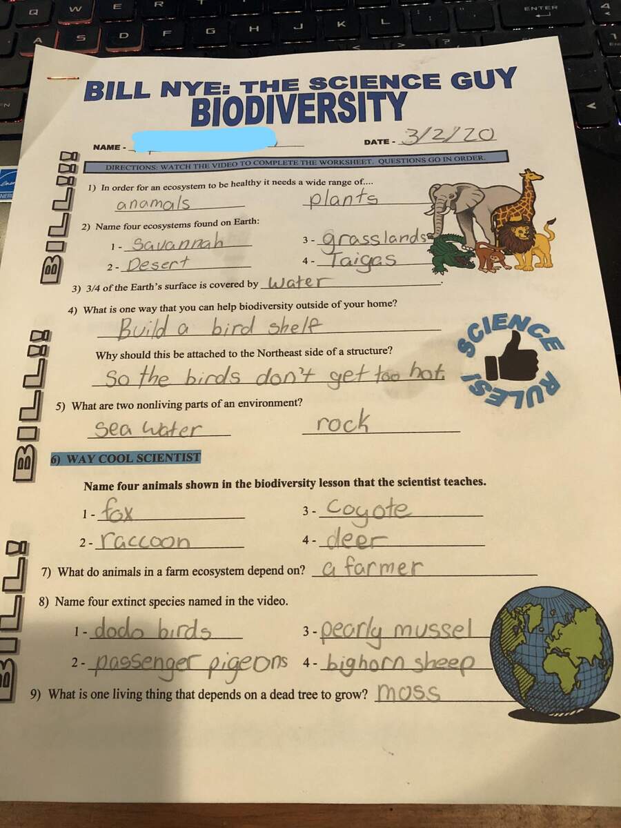 Bill Nye The Science Guy EVOLUTION Video Guide Worksheets Library