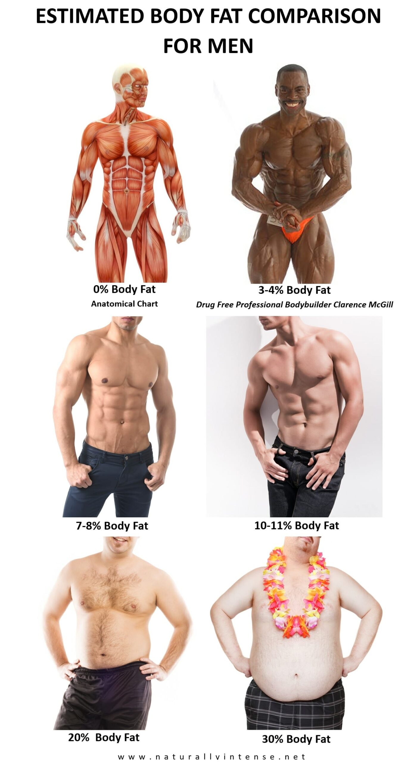 Body Fat Percentage Comparisons For Men Women 2023 Updated Body Fat Percentage Comparisons For Men Women 2023 Updated