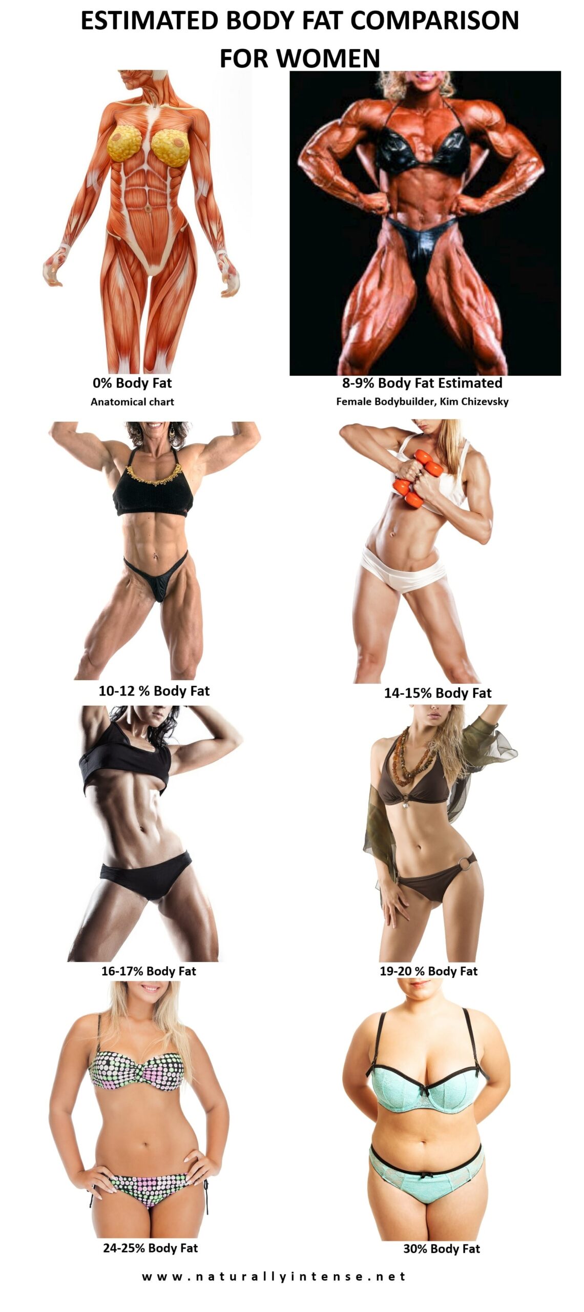 Body Fat Percentage Comparisons For Men Women 2023 Updated Body Fat Percentage Comparisons For Men Women 2023 Updated