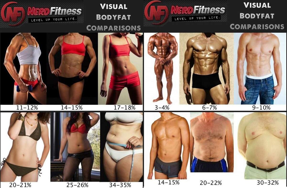 Body Fat Percentage EN World D D Tabletop RPG News Reviews