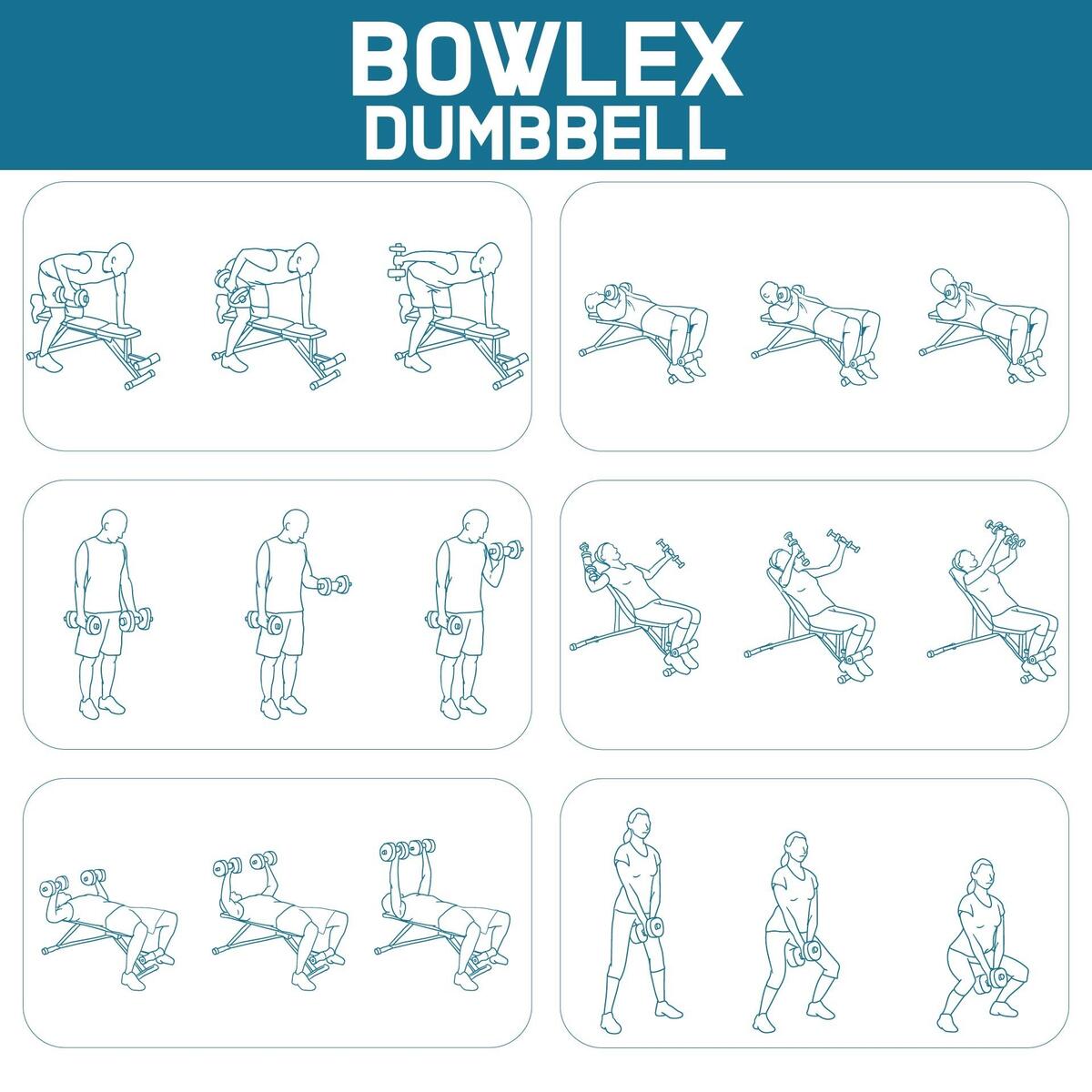Bowflex Dumbbell Workout Chart Bowflex Training Program Bowflex Pr1000 Workout Plan Bowflex Dumbbell Leg Workout Exercises To Do At Home BowFlex Total Body Tuneup BowFlex