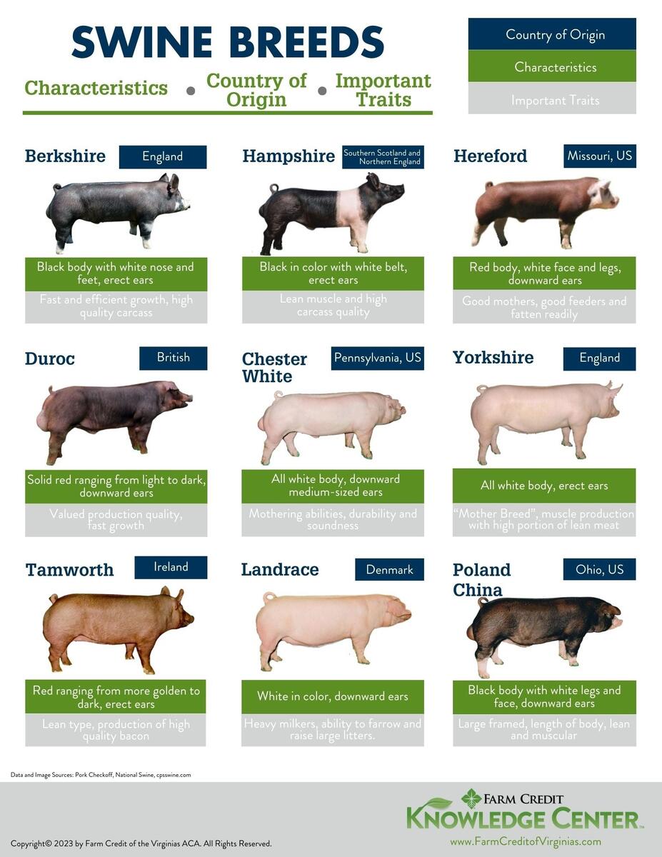 This Little Pig Curriculum Matrix National Agriculture In The Classroom