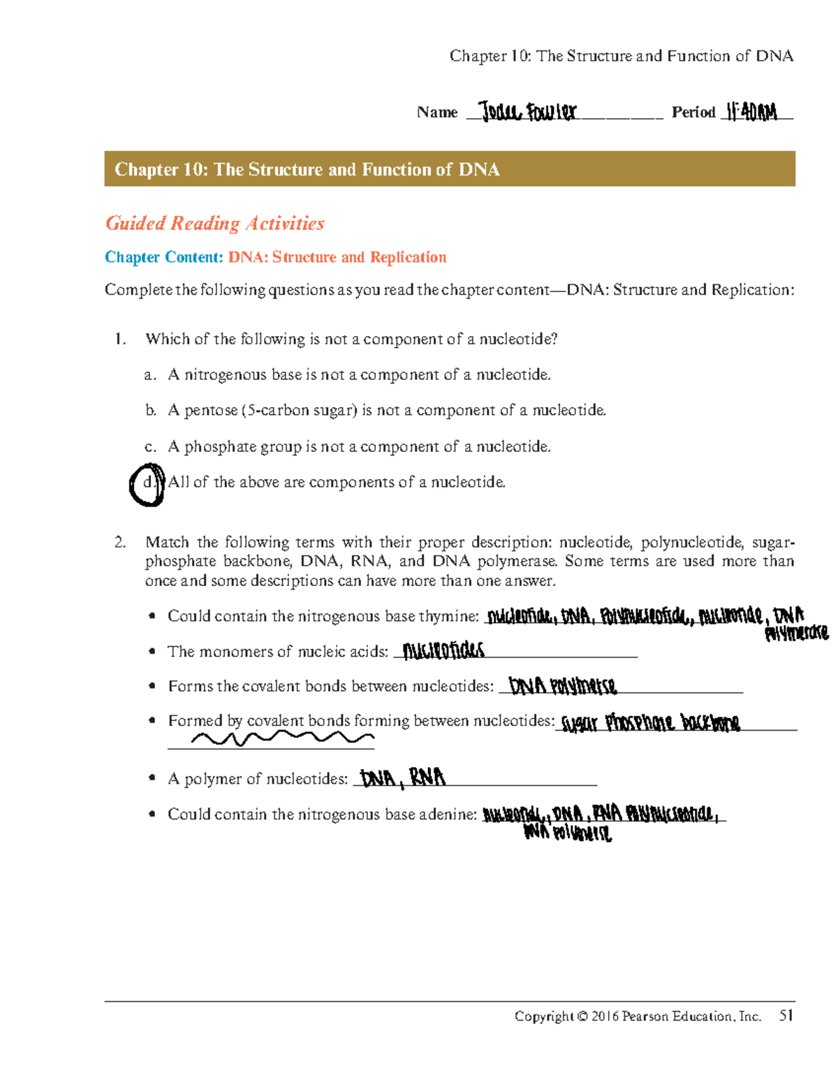 Chapter 10 Guided Reading DNA Structure Replication Activities Studocu