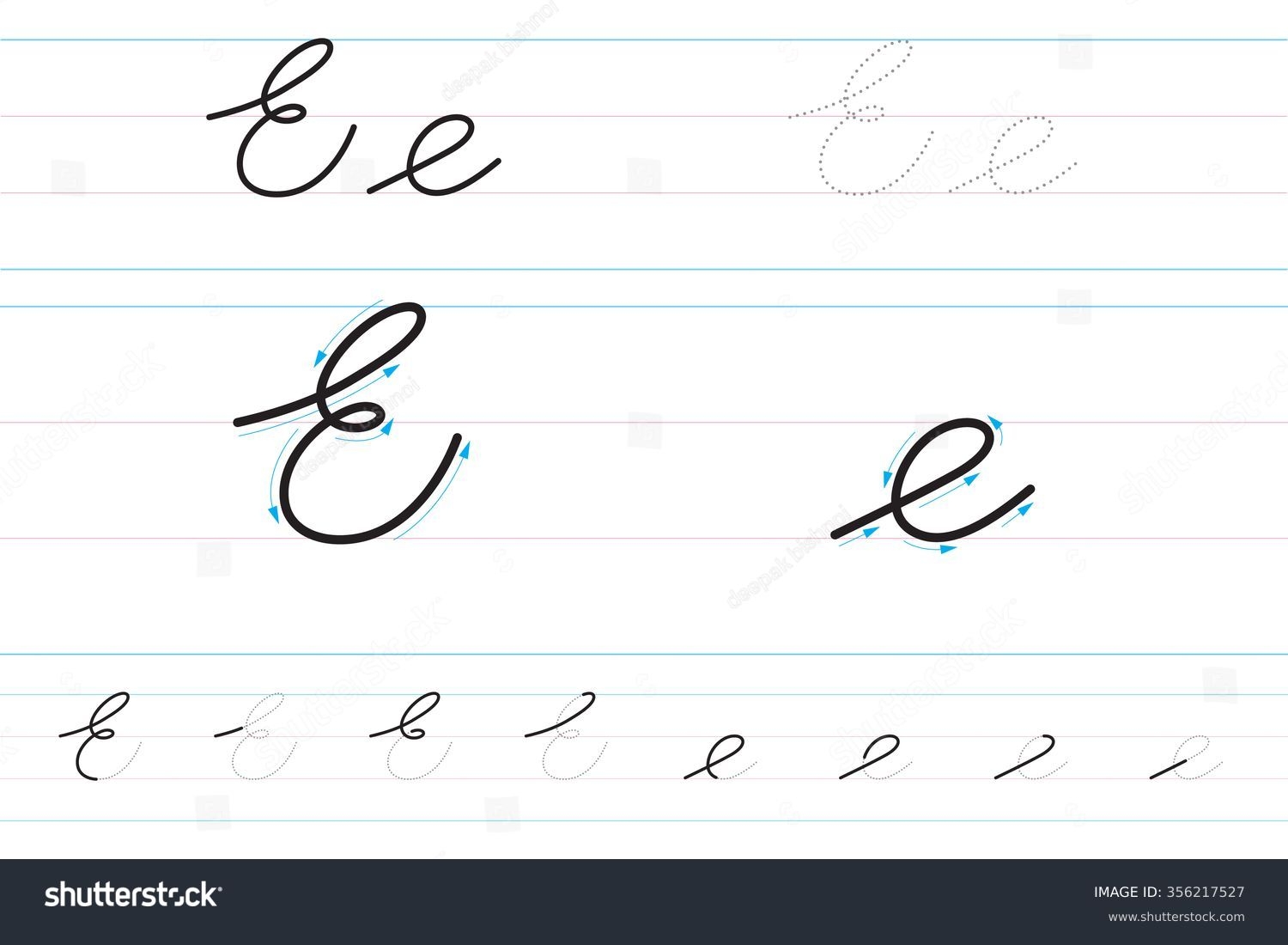 Cursive Letters Learning Write Ee Stock Vector Royalty Free 356217527 Shutterstock