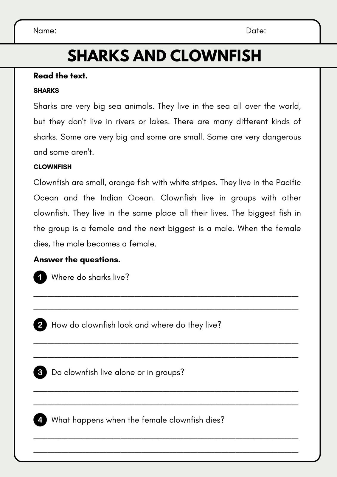 Customize 515 Reading Comprehension Worksheets Templates Online Canva
