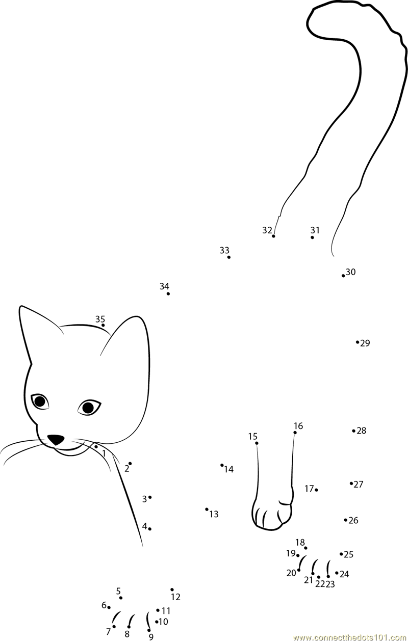Cute Cat Dot To Dot Printable Worksheet Connect The Dots Cute Cat Dot To Dot Printable Worksheet Connect The Dots