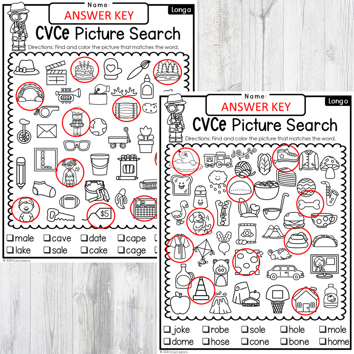 CVCe Long Vowels Phonics Picture Search I Spy Read And Find Worksheet Puzzles Classful