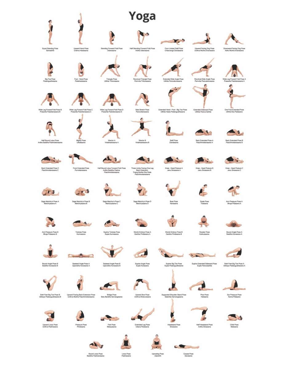 Digital Download Yoga Poses Poster 24x36 Yoga Chart Yoga Pose Poster Print Wall Art Yoga Poster Fitness Chart Yoga Poses Digital Photography Etsy Israel