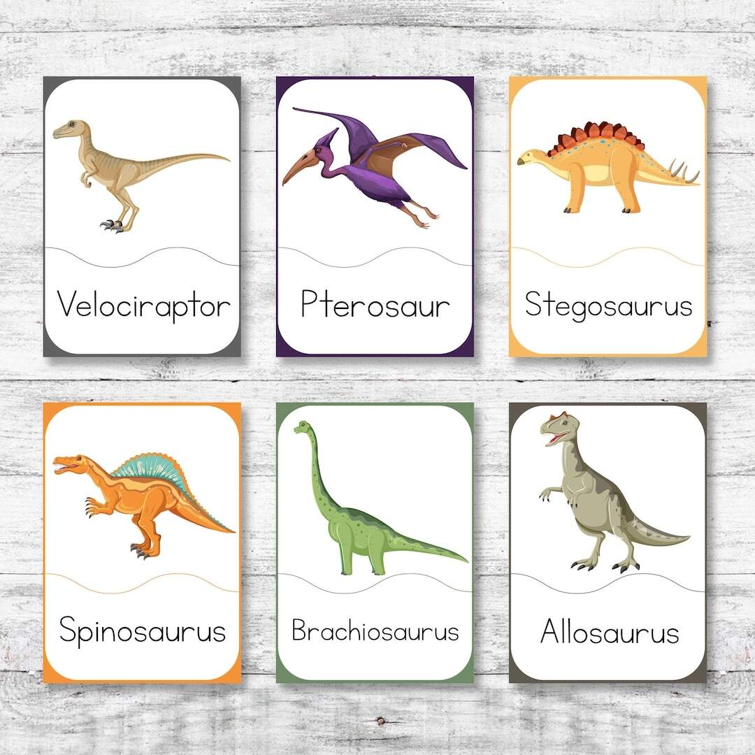 Dinosaur Flash Cards Montessori Homeschool Printable PDF Digital Download Etsy Denmark