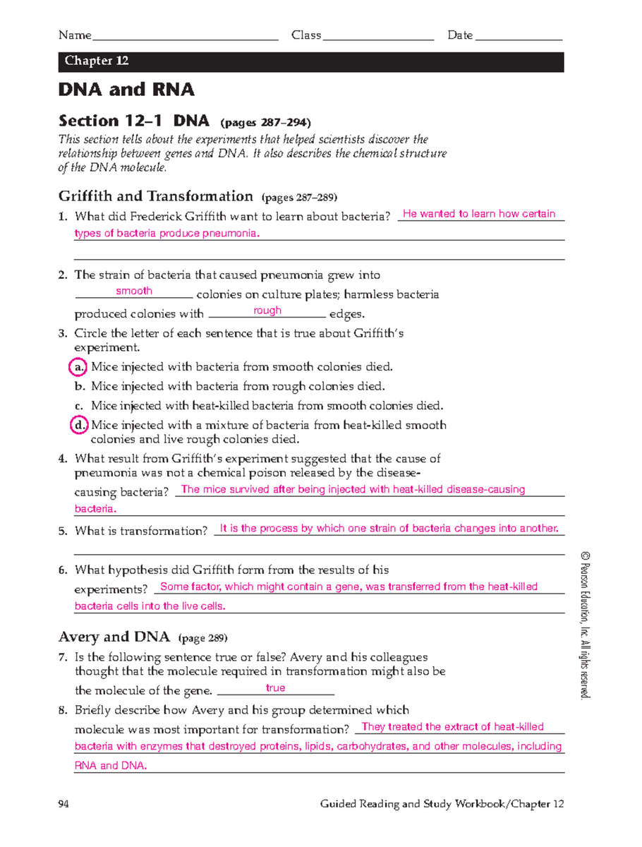 DNA And RNA Study Guide Answer Key BIO101 Final Exam Studocu