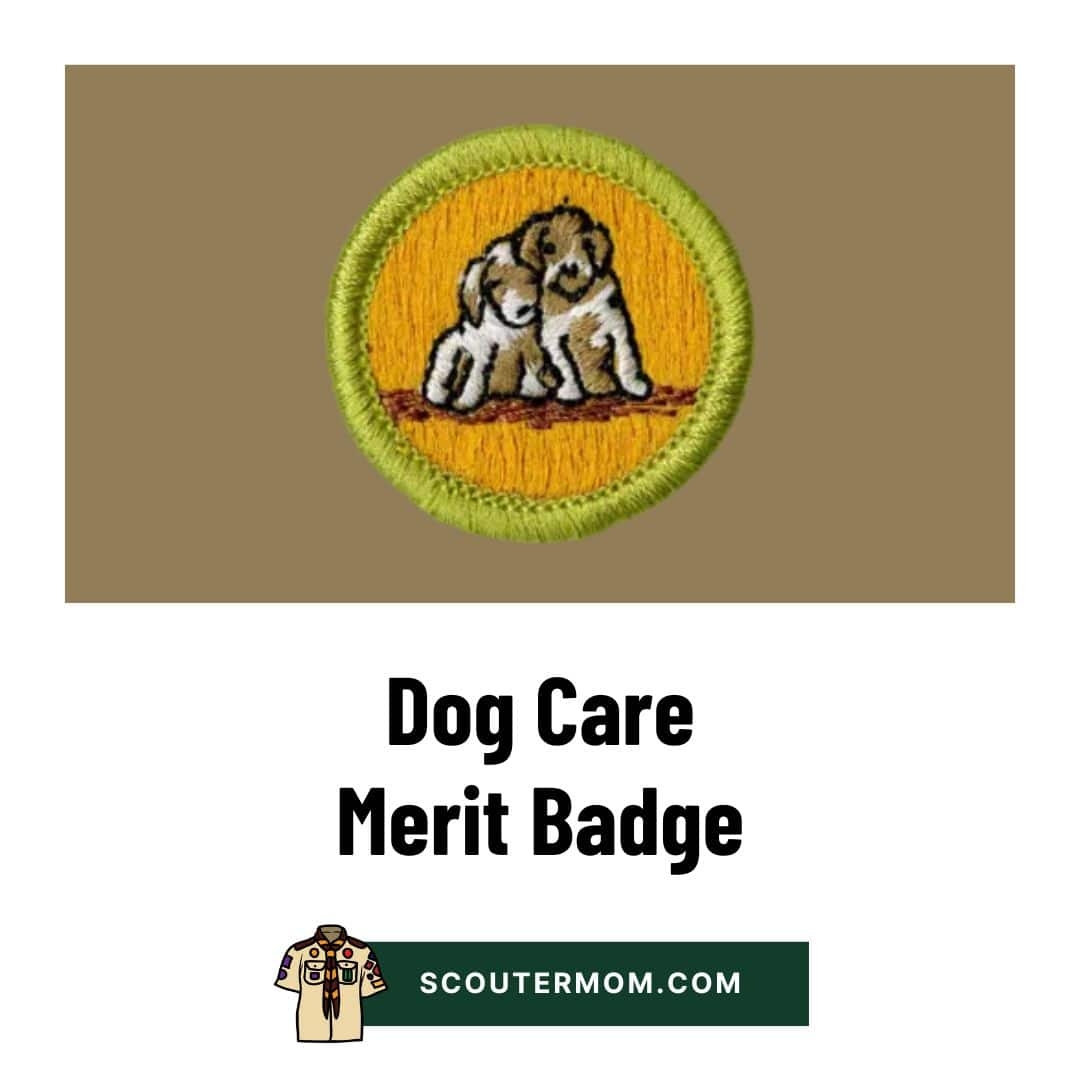 Dog Care Merit Badge For 2025 Free Resources And Answers Scouter Mom