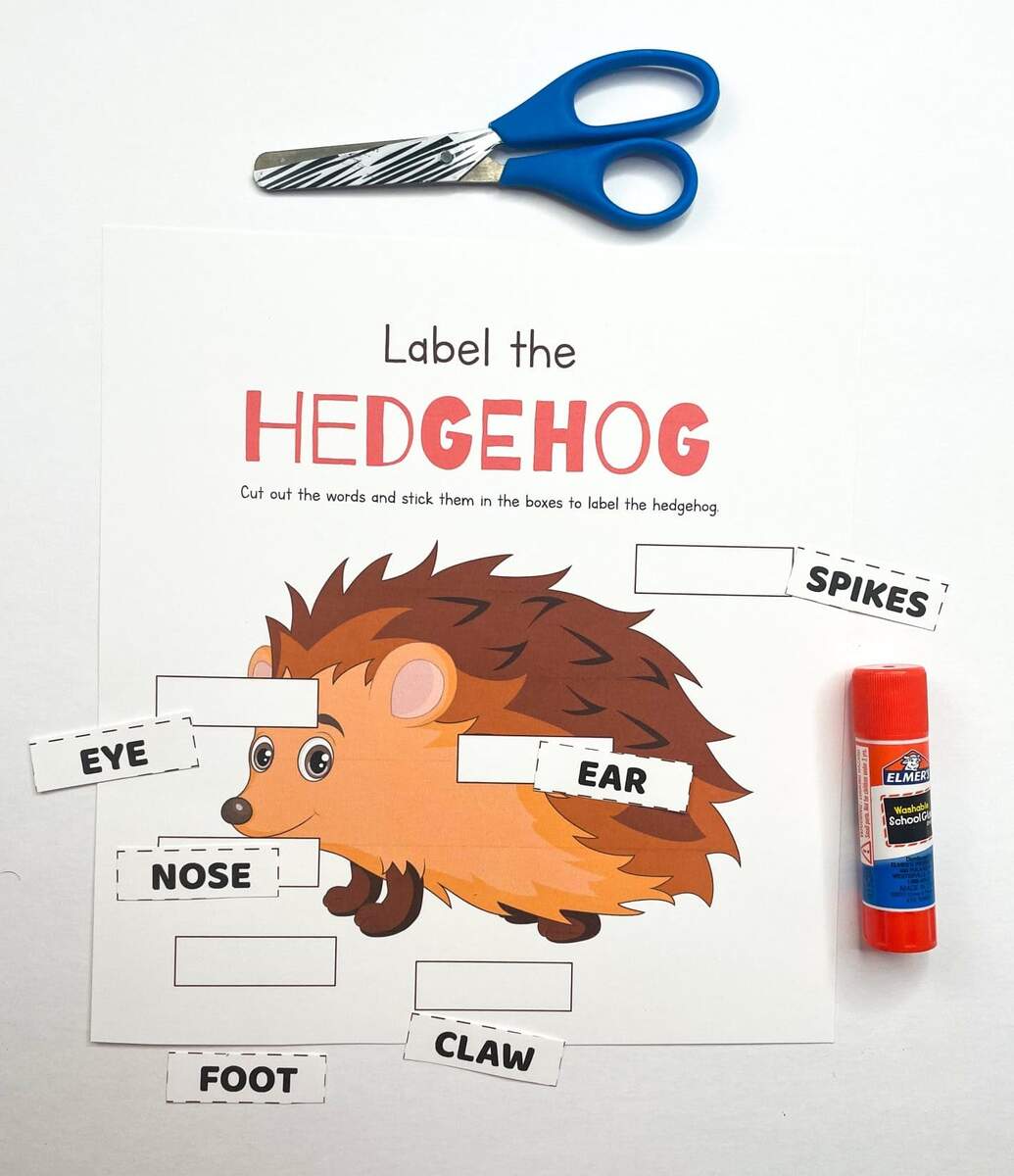 Free Life Cycle Of A Hedgehog Worksheet For Kids Free Life Cycle Of A Hedgehog Worksheet For Kids