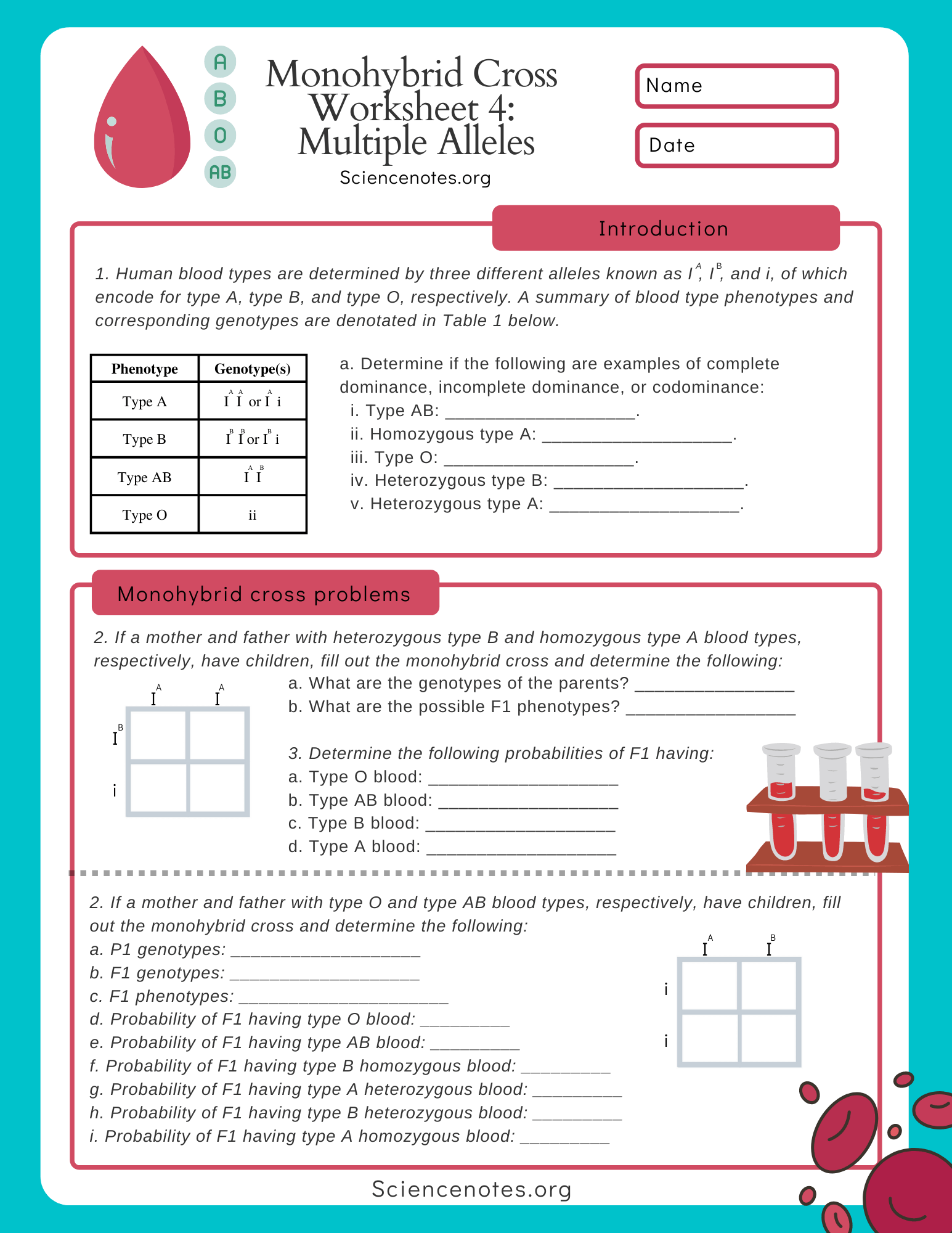 Genetics Worksheets And Printables