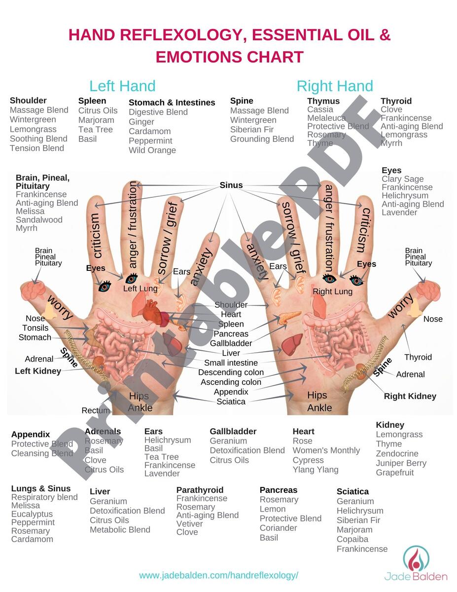 Hand Reflexology Chart PDF Printable Etsy Hand Reflexology Chart PDF Printable Etsy