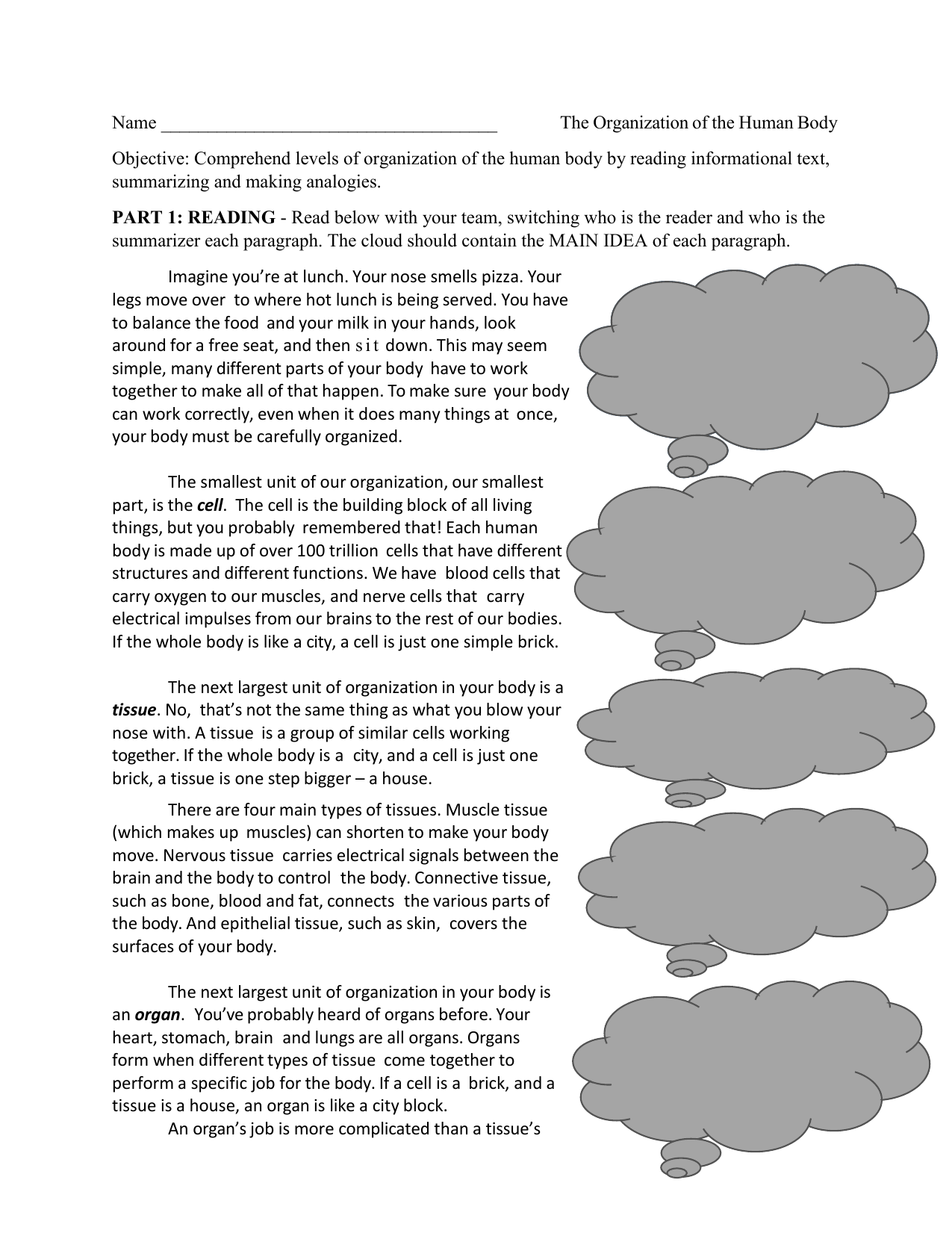 Human Body Organization Worksheet Organization Of The Human Body Worksheet And Text Flying Colors Science