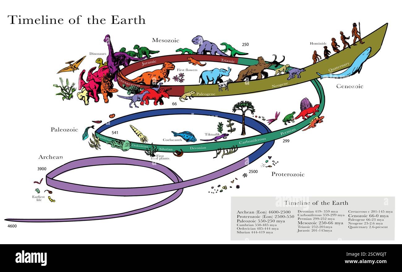 Human Evolution Chart Cut Out Stock Images Pictures Alamy
