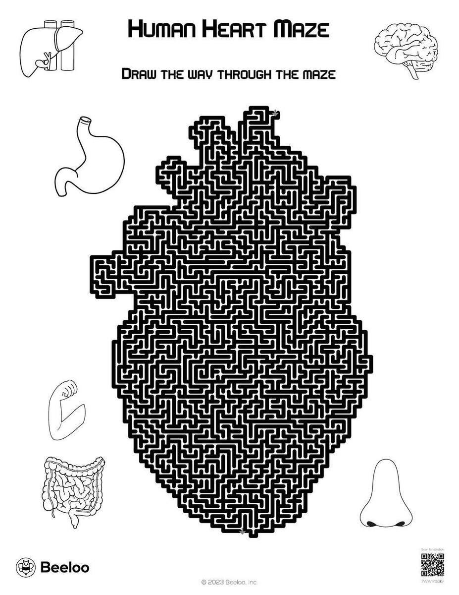 Human Heart Maze Beeloo Printable Crafts And Activities For Kids