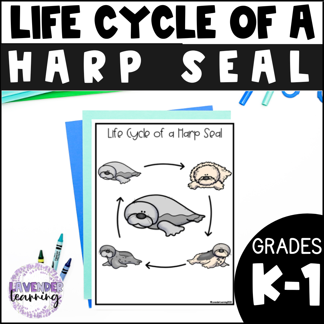 Life Cycle Of A Harp Seal Activities Worksheets Booklet Harp Seal Life Cycle Made By Teachers