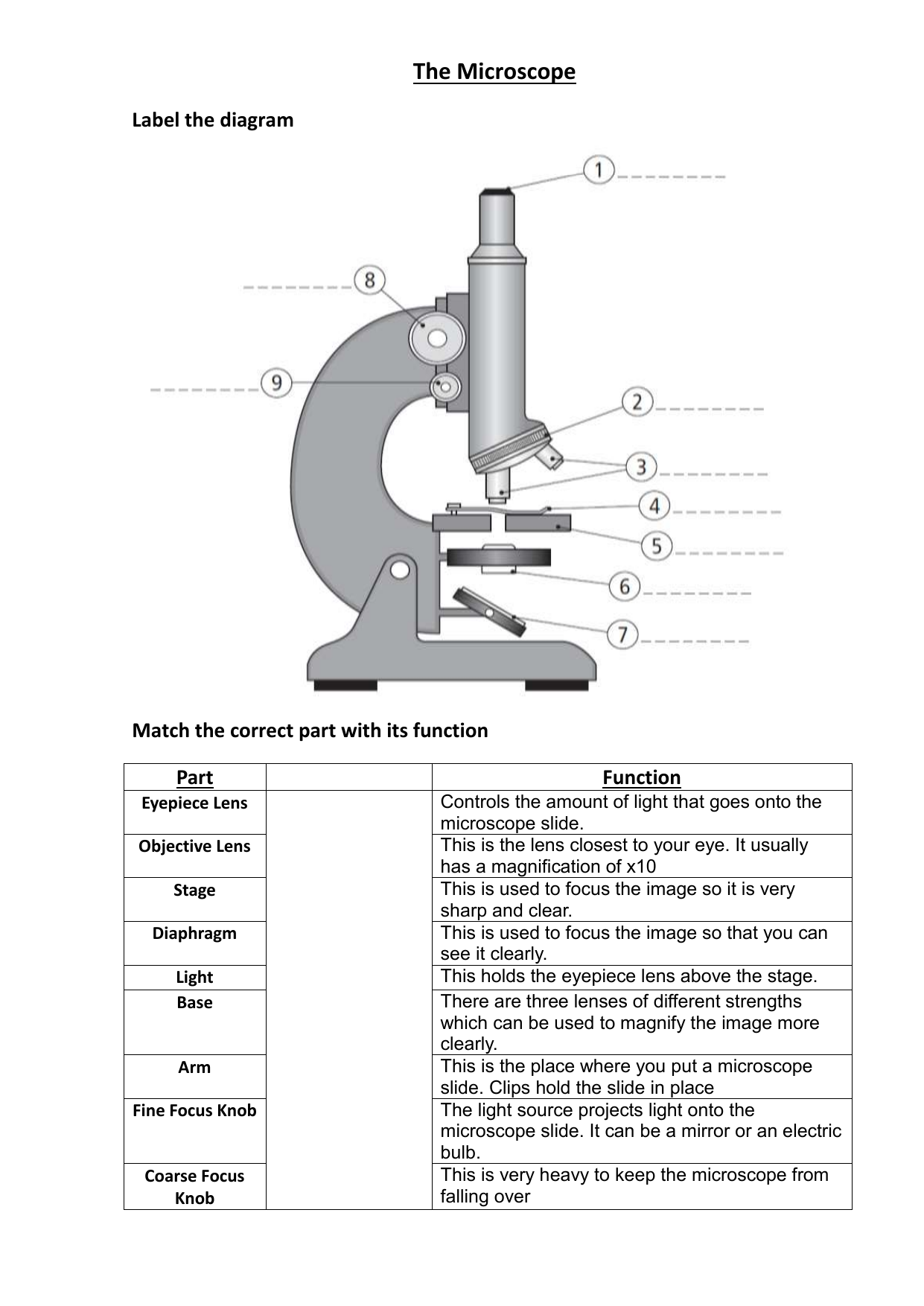 The Compound Microscope A Guide To Its Parts And Functions Exercises Biology Docsity