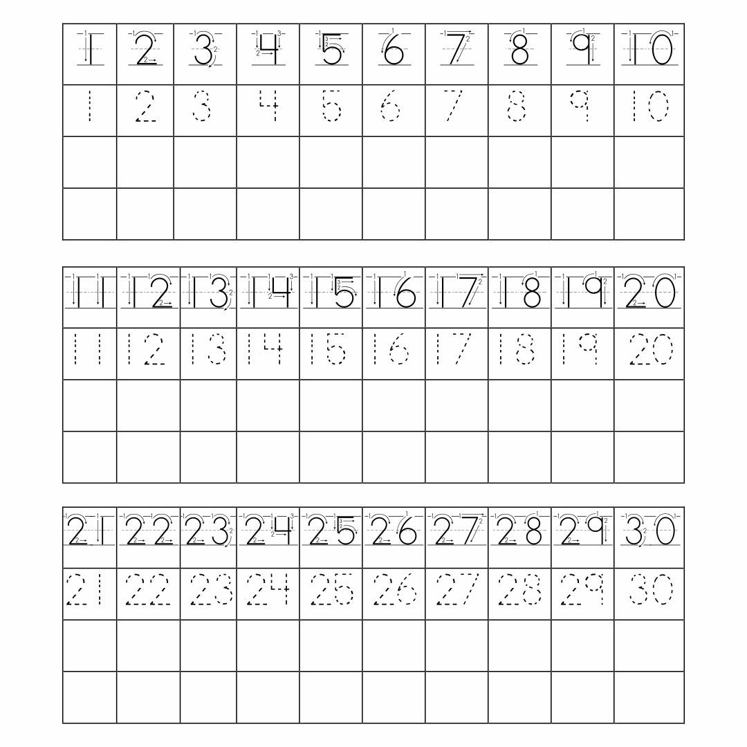 Number Chart 1 30 10 Free PDF Printables Printablee