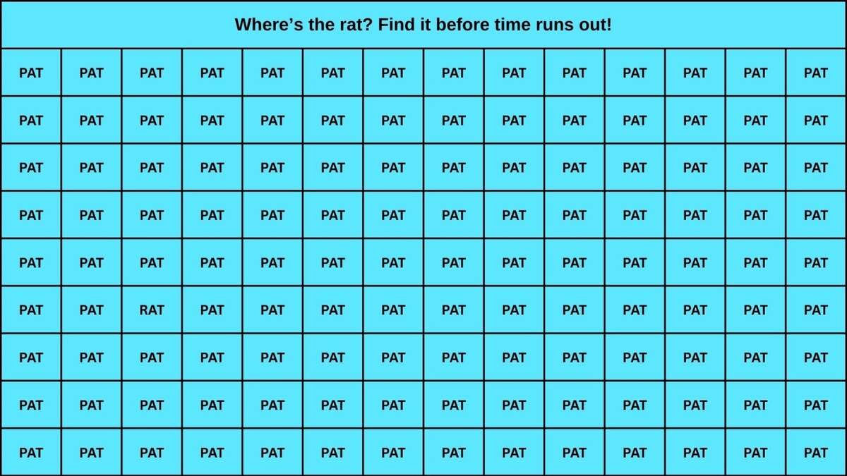 Optical Illusion Challenge This spot The RAT Challenge Is Definitely Not For Beginners Can You Solve This Puzzle Mint
