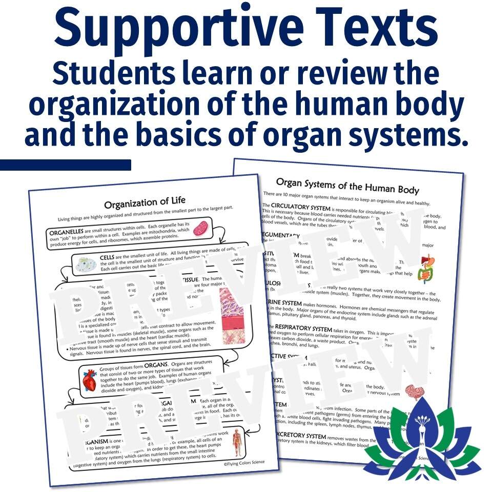 Organization Of The Human Body Worksheet And Text Flying Colors Science Organization Of The Human Body Worksheet And Text Flying Colors Science