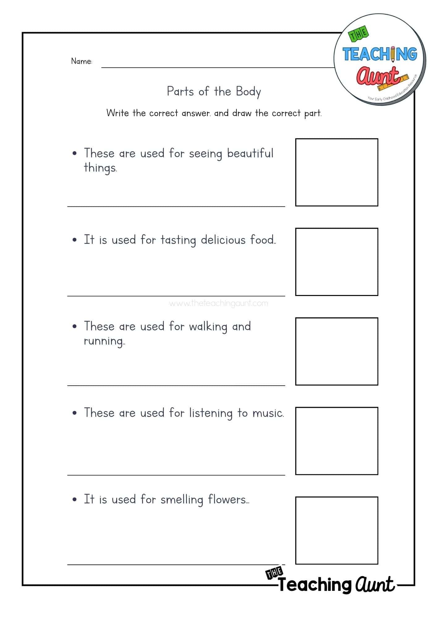Parts Of The Body Worksheets The Teaching Aunt