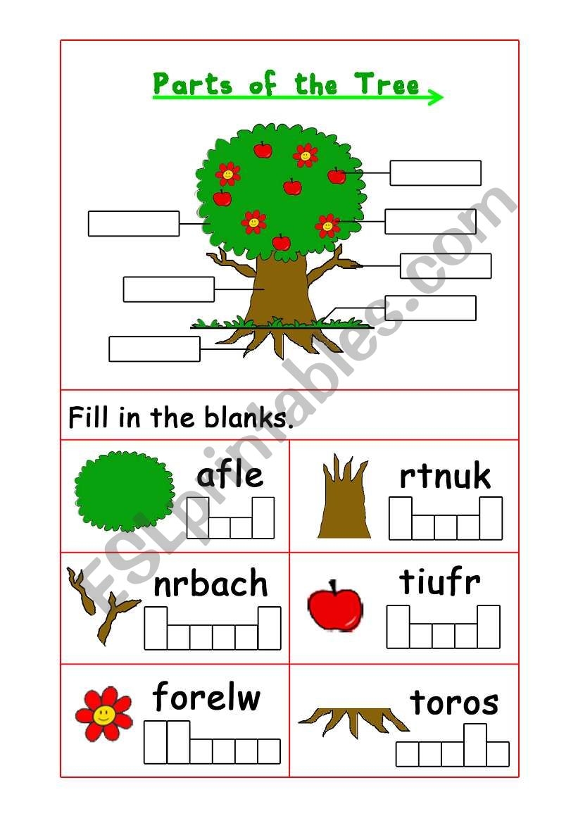 Parts Of The Tree ESL Worksheet By Viamail