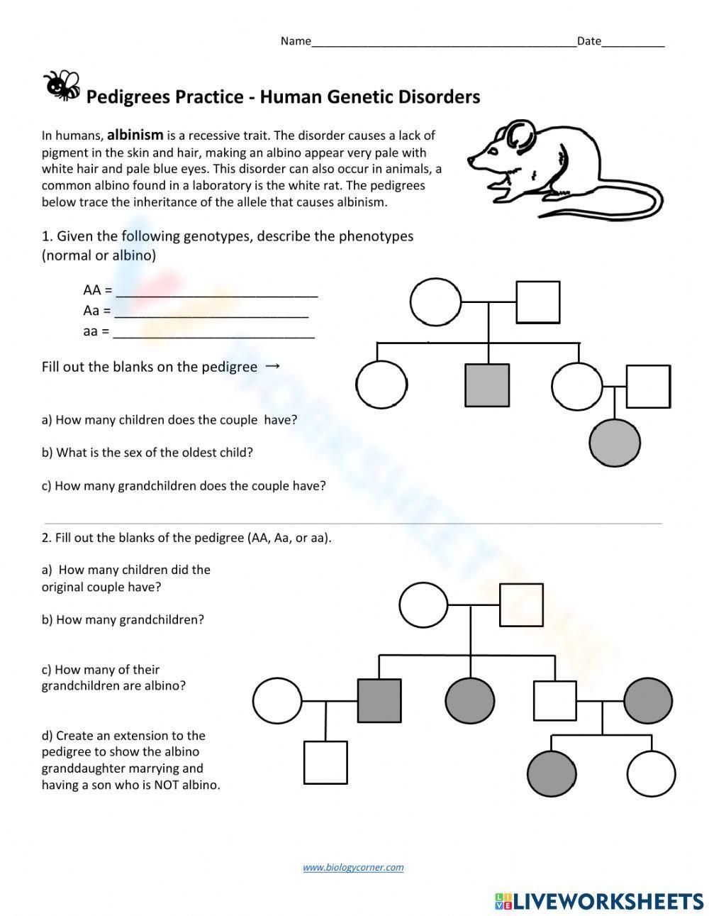 Pedigree Worksheets Printable Pedigree Worksheets Printable