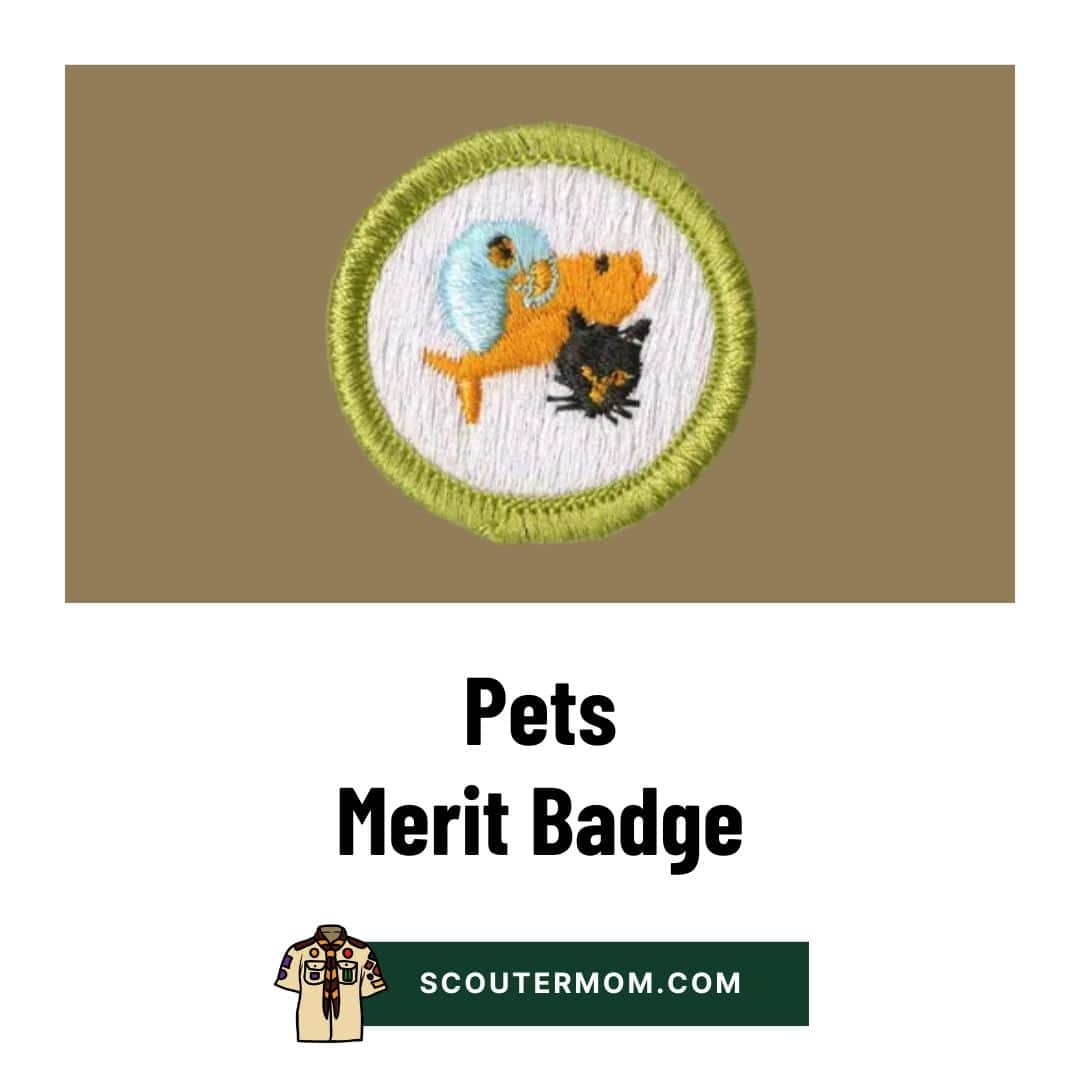 Pets Merit Badge For 2025 Free Resources And Answers Scouter Mom