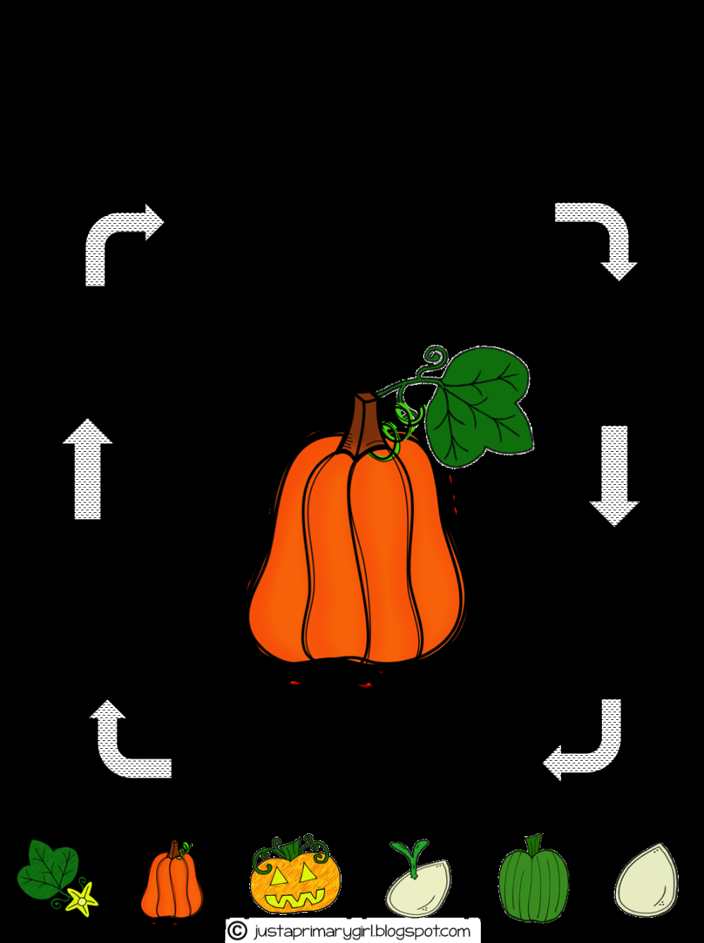 Printable Life Cycle Of A Pumpkin Printable Party Favors Printable Life Cycle Of A Pumpkin Printable Party Favors
