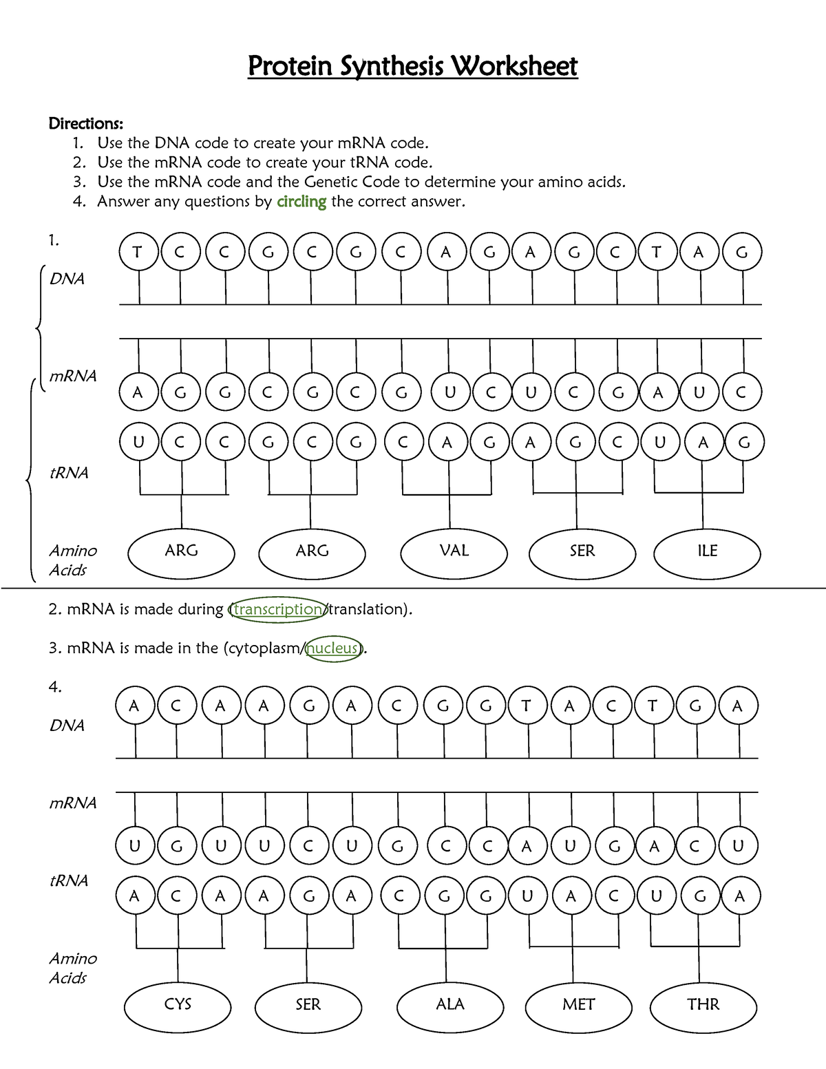 Protein Synthesis Worksheet Steemit Worksheets Library Protein Synthesis Worksheet Steemit Worksheets Library